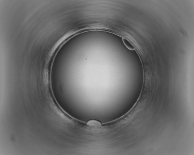 X0000113321092200909141350