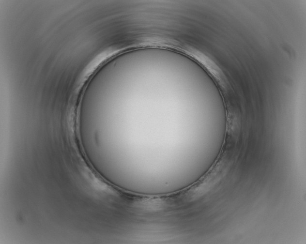 X0000113321094200909141350