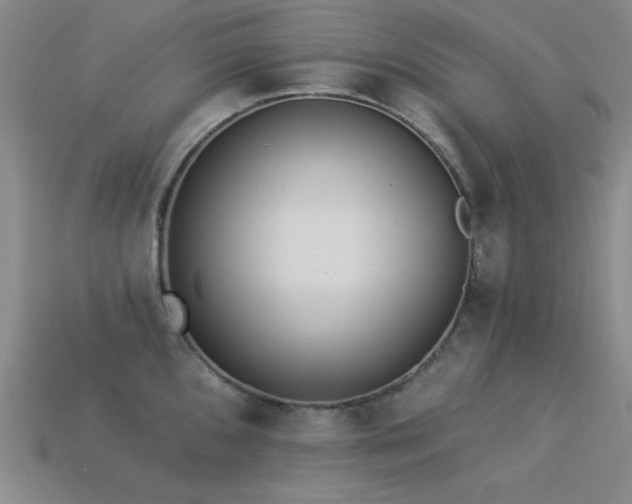 X0000113321096200909141350