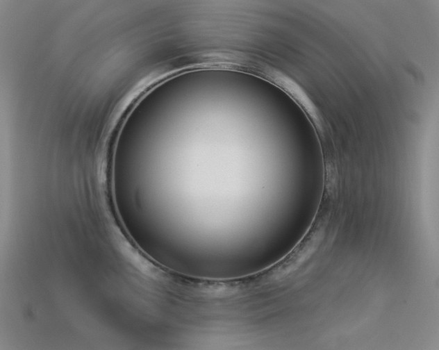 X0000113321099200909141350