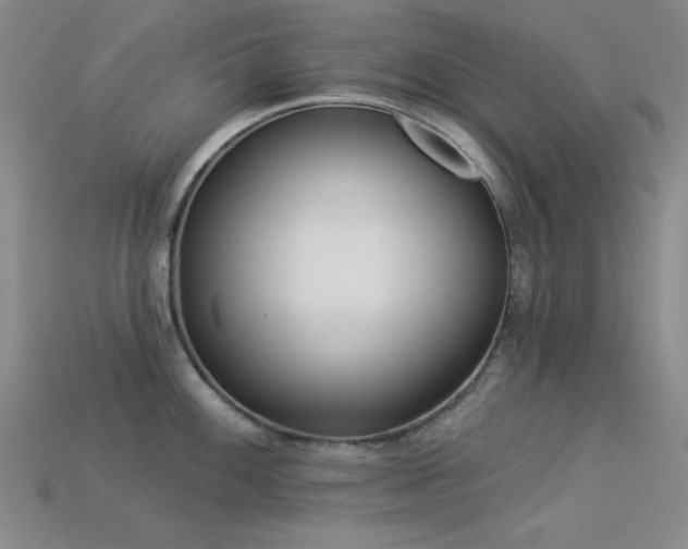 X0000113321100200909141350