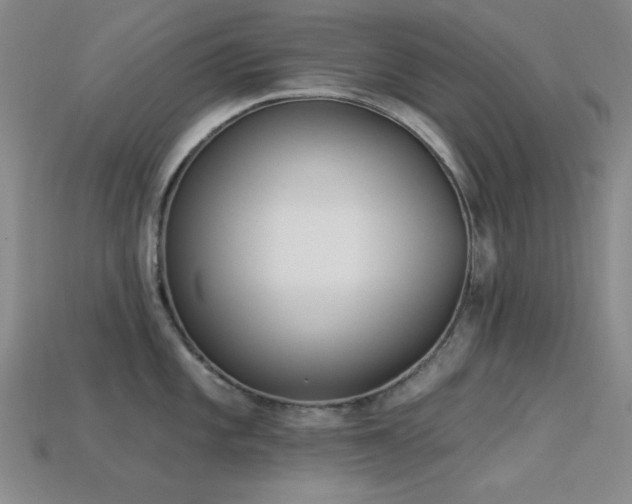 X0000113321101200909141350