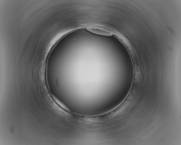 X0000113321102200909141350