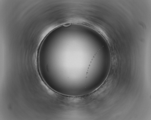 X0000113321103200909141350