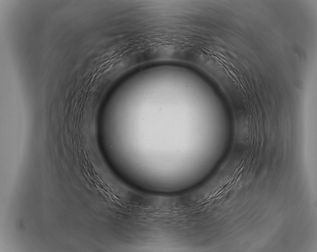 X0000113321105200909141349