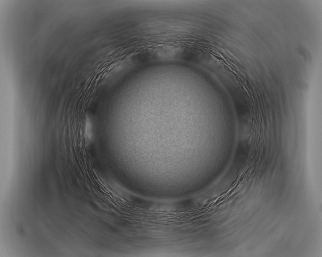 X0000113321106200909141349