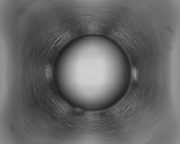 X0000113321107200909141349