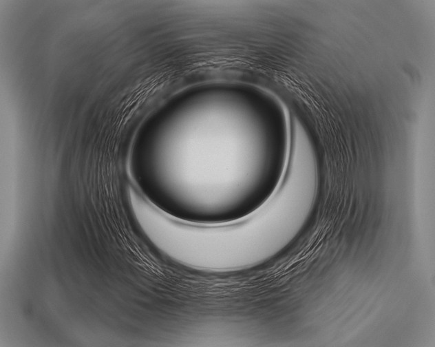 X0000113321108200909141349