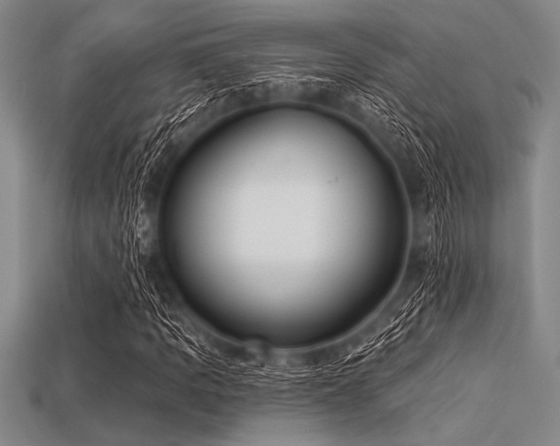X0000113321109200909141349