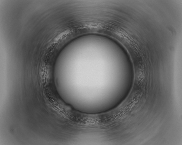 X0000113321110200909141349