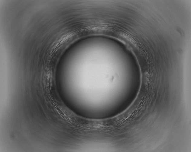 X0000113321111200909141349