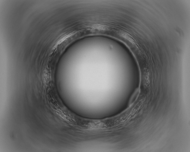 X0000113321112200909141349