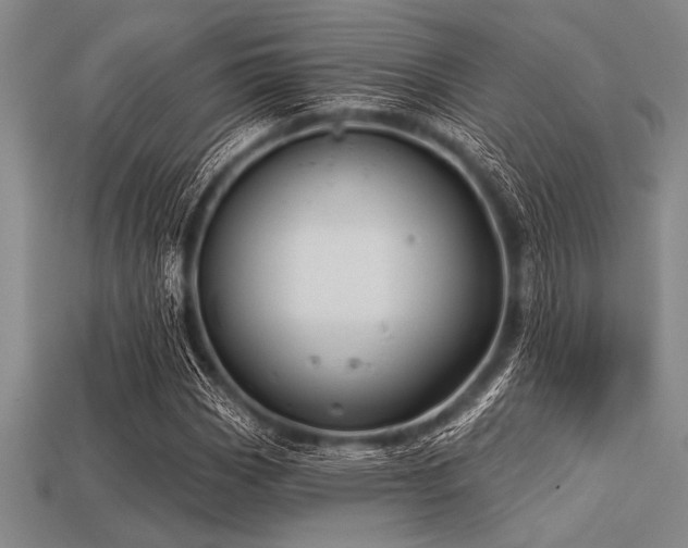 X0000113321113200909141349