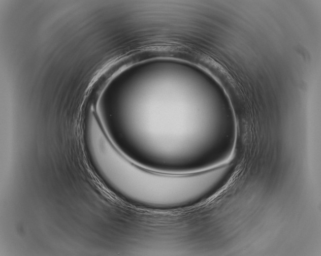 X0000113321114200909141349