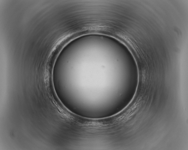 X0000113321115200909141349