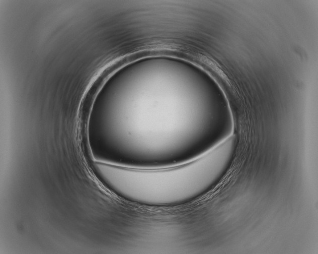X0000113321116200909141349