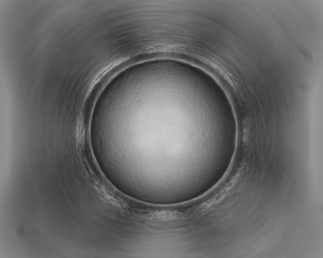 X0000113321117200909141349