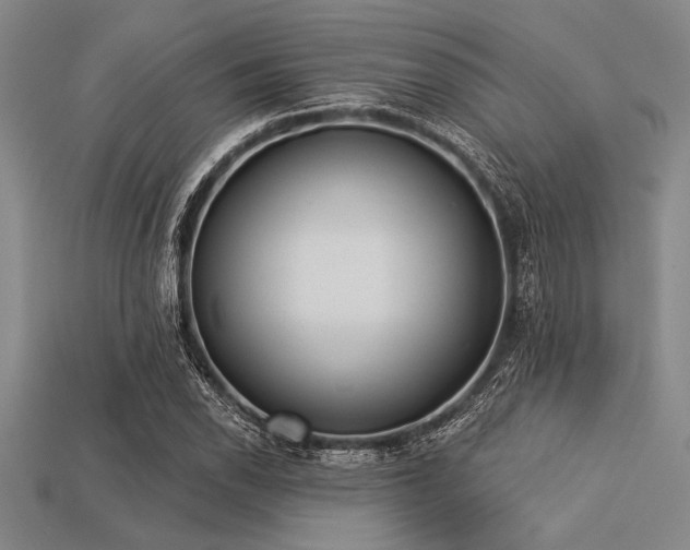 X0000113321118200909141349