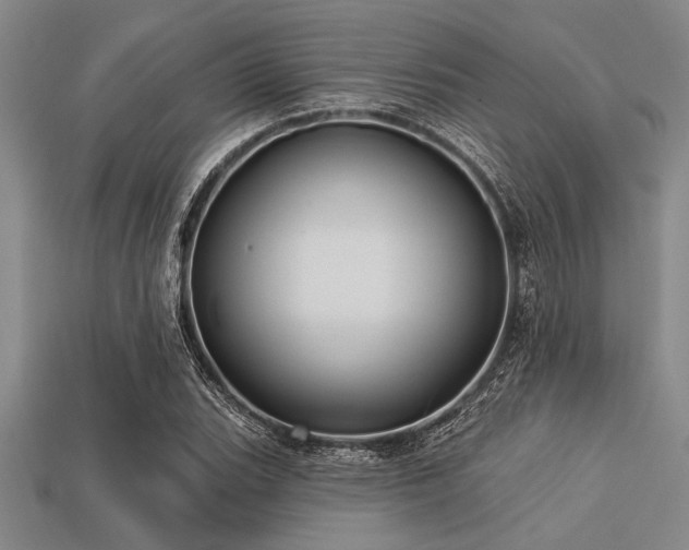 X0000113321119200909141349