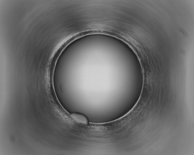 X0000113321120200909141349