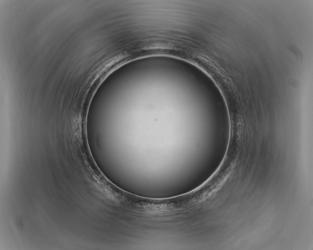 X0000113321121200909141349
