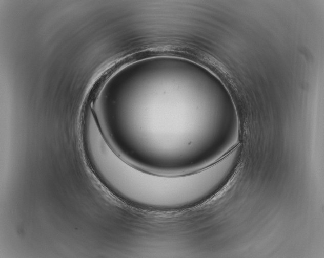 X0000113321122200909141349