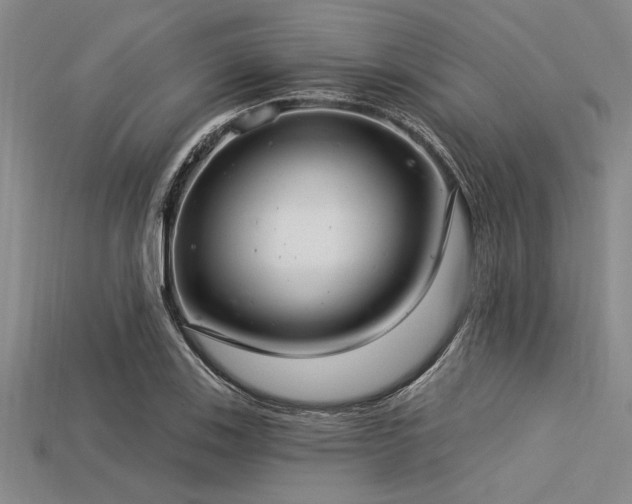X0000113321123200909141349