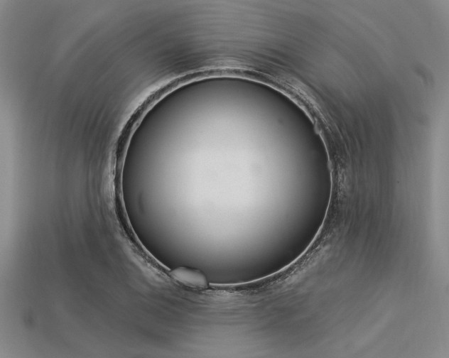 X0000113321124200909141349