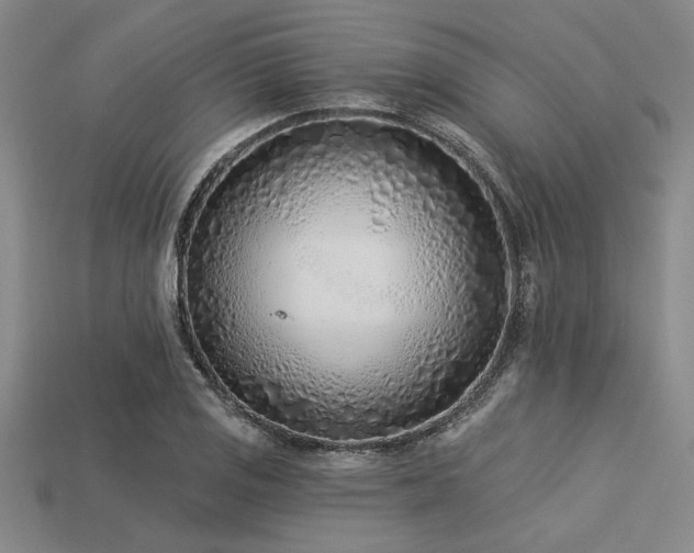 X0000113321125200909141349