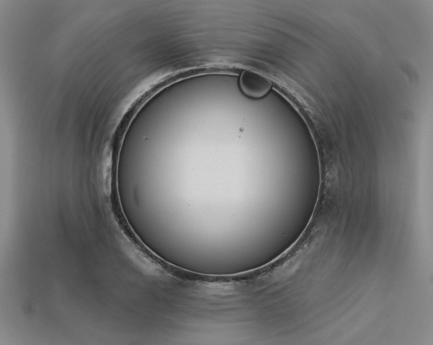 X0000113321126200909141349