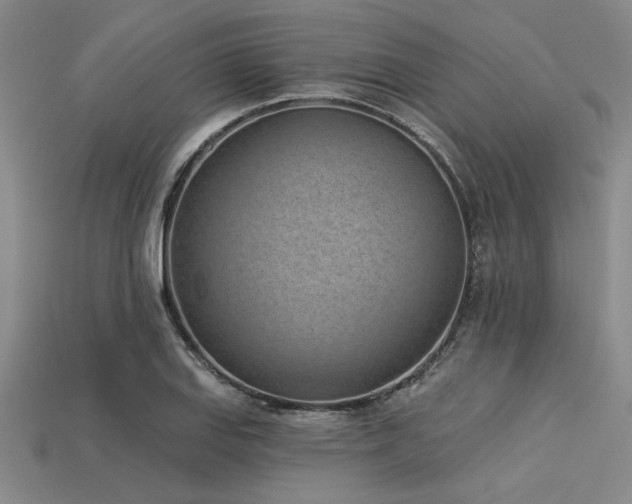 X0000113321127200909141349