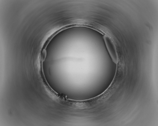 X0000113321128200909141349