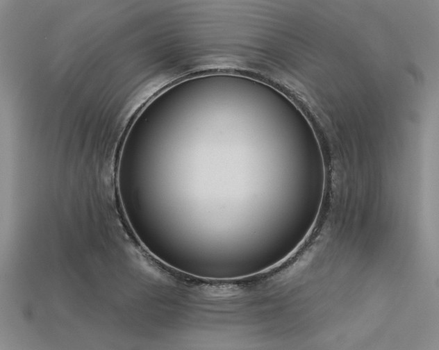 X0000113321129200909141349