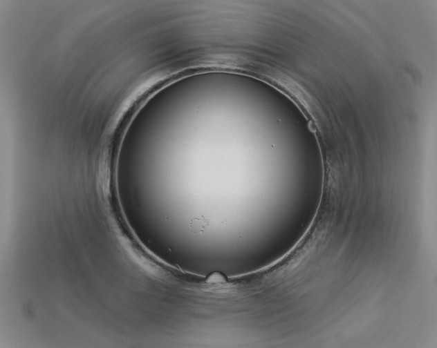 X0000113321131200909141349