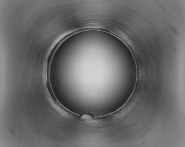 X0000113321132200909141349
