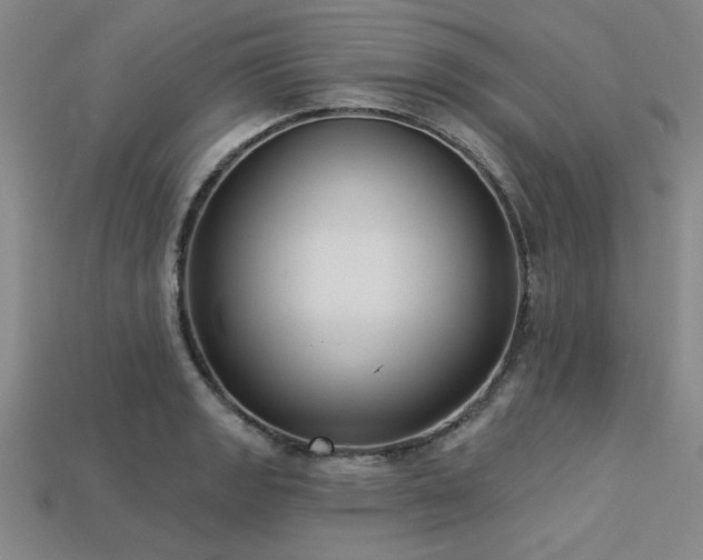 X0000113321133200909141349