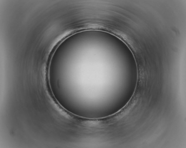X0000113321134200909141349