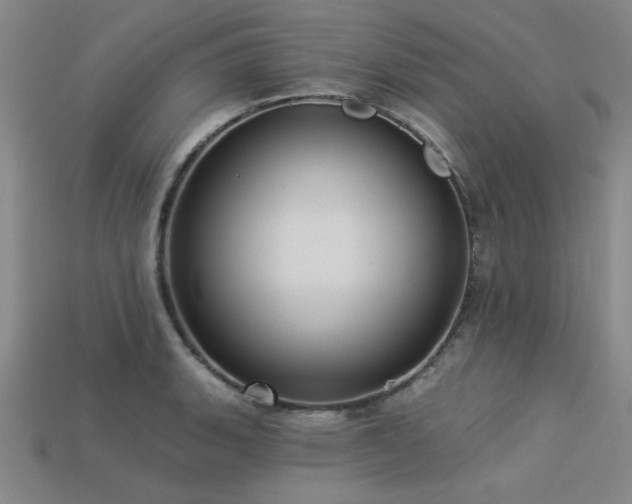 X0000113321135200909141350