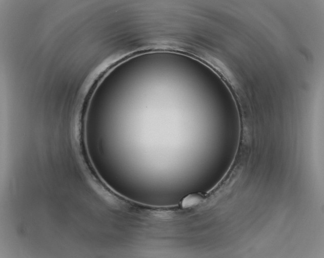 X0000113321136200909141350