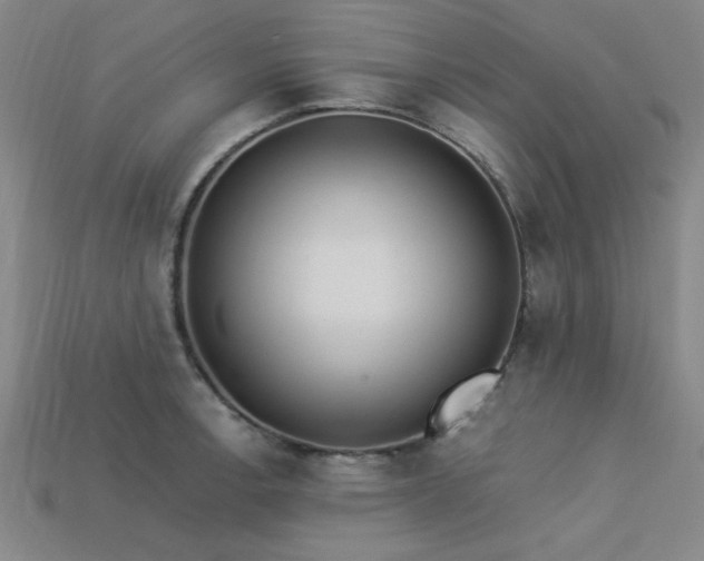 X0000113321138200909141350