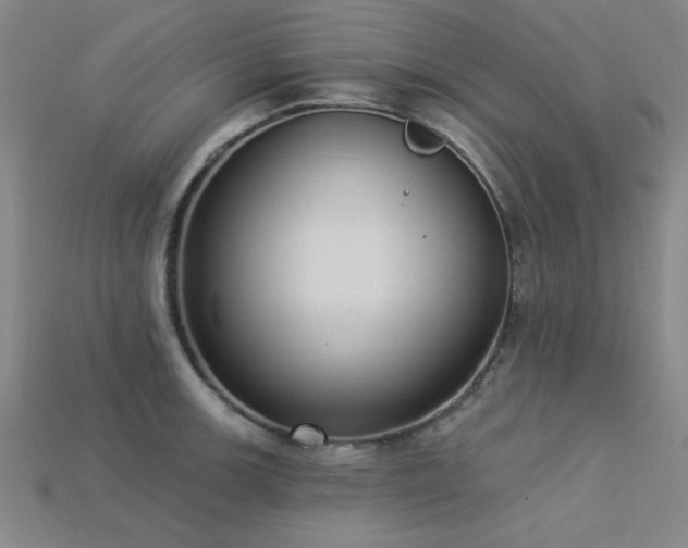X0000113321139200909141350