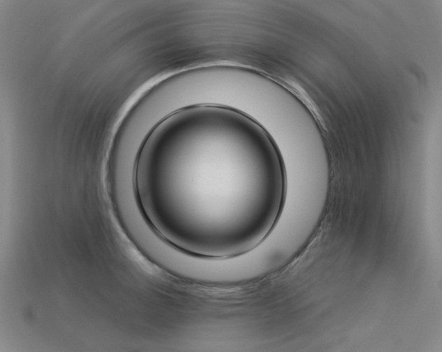 X0000113321140200909141350