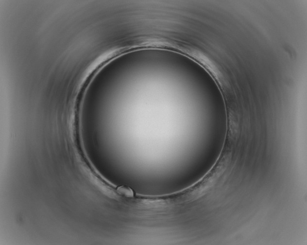 X0000113321142200909141350