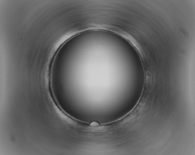 X0000113321143200909141350