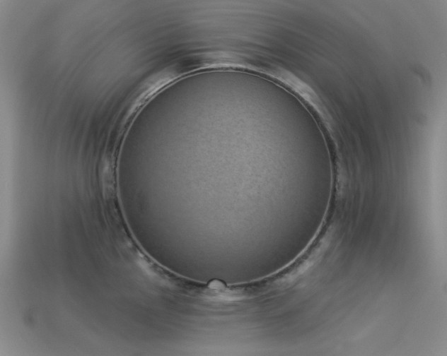 X0000113321145200909141350