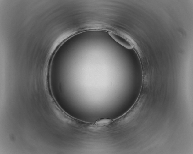 X0000113321146200909141350