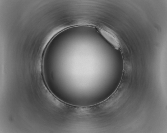 X0000113321148200909141350