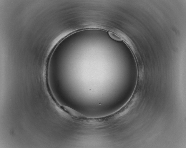 X0000113321149200909141350