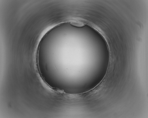 X0000113321152200909141350