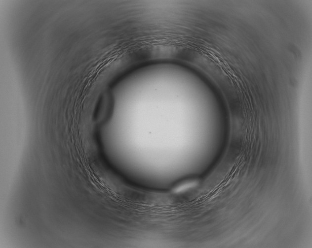 X0000113321153200909141349